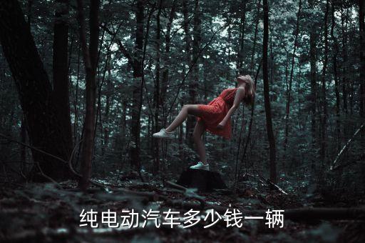 純電動汽車多少錢一輛