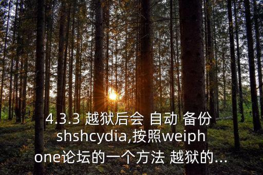 4.3.3 越獄后會(huì) 自動(dòng) 備份 shshcydia,按照weiphone論壇的一個(gè)方法 越獄的...