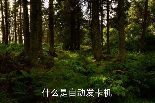 什么是自動(dòng)發(fā)卡機(jī)