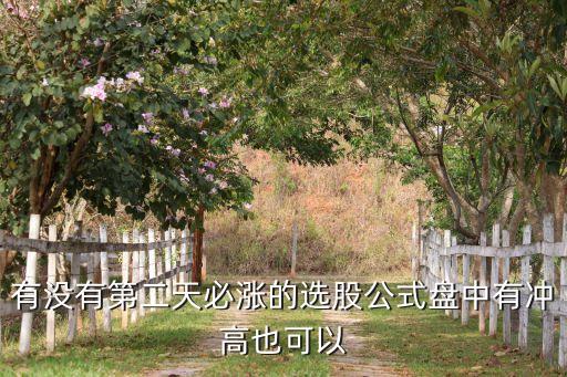 有沒有第二天必漲的選股公式盤中有沖高也可以