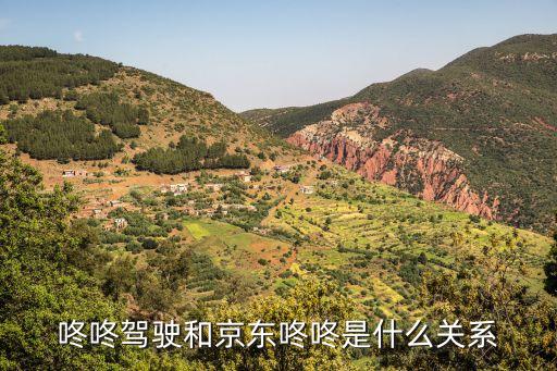 咚咚駕駛和京東咚咚是什么關(guān)系