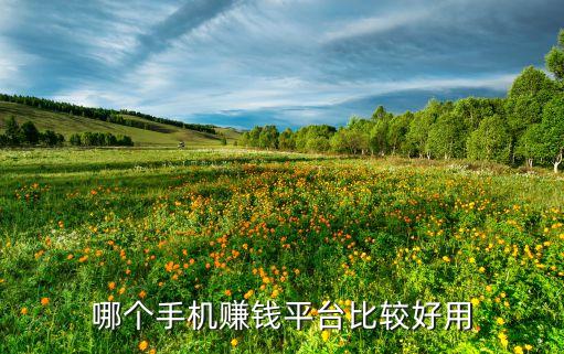 哪個(gè)手機(jī)賺錢平臺(tái)比較好用