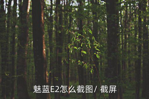  魅藍(lán)E2怎么截圖/ 截屏