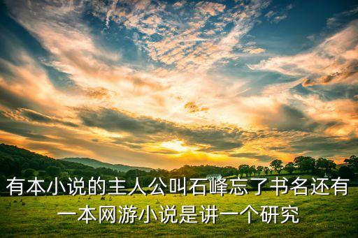 我科研天才的身份曝光了，有本小說的主人公叫石峰忘了書名還有一本網(wǎng)游小說是講一個研究