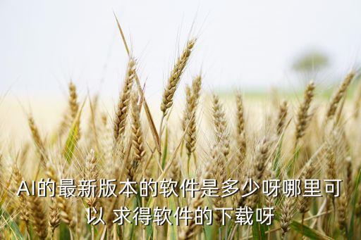 AI的最新版本的軟件是多少呀哪里可以 求得軟件的下載呀