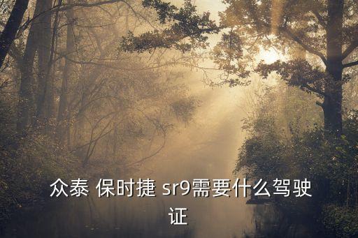  眾泰 保時(shí)捷 sr9需要什么駕駛證