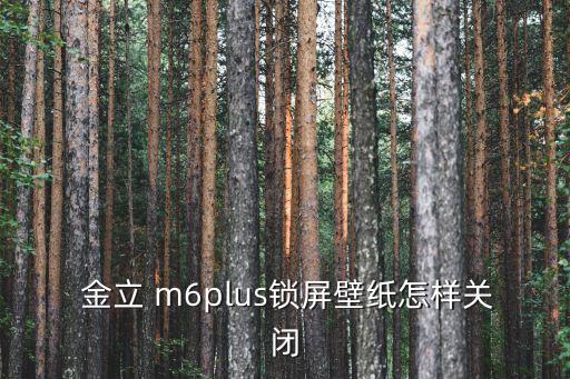  金立 m6plus鎖屏壁紙?jiān)鯓雨P(guān)閉