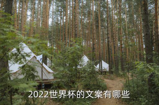 2022世界杯的文案有哪些