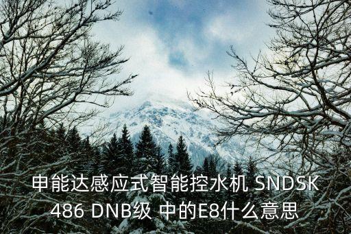 申能達(dá)感應(yīng)式智能控水機(jī) SNDSK486 DNB級 中的E8什么意思