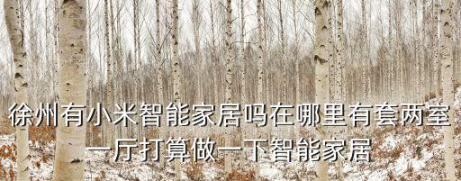 小米智能家居體驗館，哈爾濱有小米智能家居嗎在哪啊