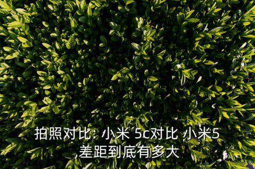 拍照對(duì)比: 小米 5c對(duì)比 小米5,差距到底有多大