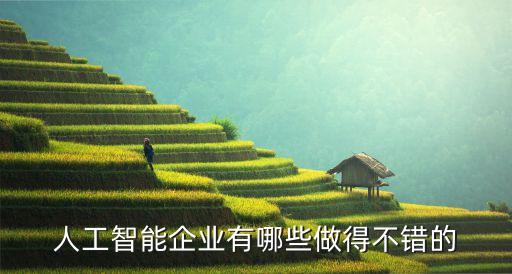 人工智能企業(yè)有哪些做得不錯的