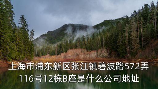 上海市浦東新區(qū)張江鎮(zhèn)碧波路572弄116號(hào)12棟B座是什么公司地址