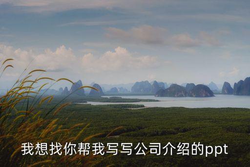 我想找你幫我寫寫公司介紹的ppt