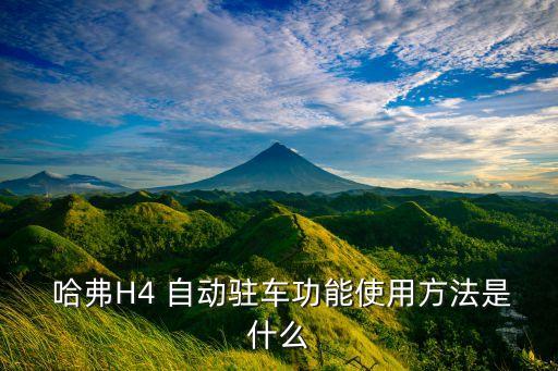  哈弗H4 自動駐車功能使用方法是什么