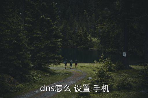  dns怎么 設(shè)置 手機(jī)