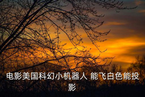 電影美國(guó)科幻小機(jī)器人 能飛白色能投影