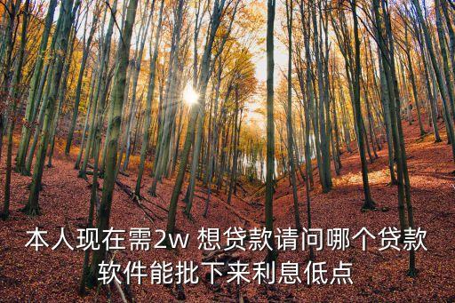 本人現(xiàn)在需2w 想貸款請問哪個貸款軟件能批下來利息低點