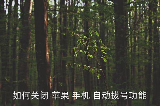 如何關(guān)閉 蘋果 手機(jī) 自動(dòng)拔號(hào)功能