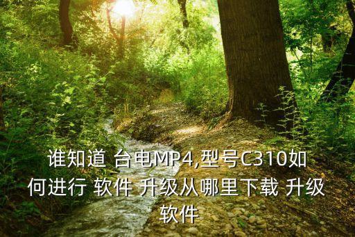 誰知道 臺電MP4,型號C310如何進行 軟件 升級從哪里下載 升級 軟件