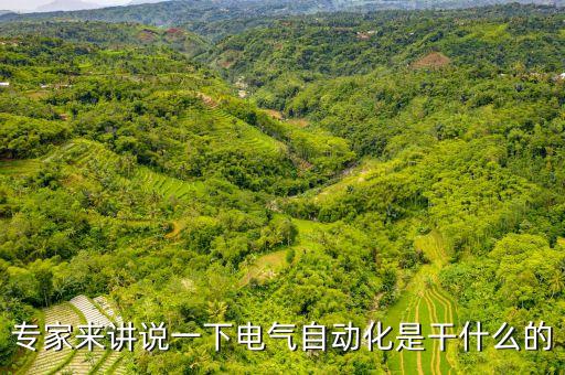 專家來講說一下電氣自動(dòng)化是干什么的