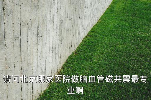 請問北京哪家醫(yī)院做腦血管磁共震最專業(yè)啊