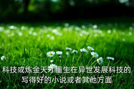 科技或煉金天才重生在異世發(fā)展科技的寫(xiě)得好的小說(shuō)或者其他方面