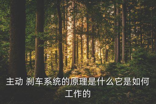 自動(dòng)剎車任務(wù)書,奧迪主動(dòng)剎車安全系統(tǒng)怎么用?