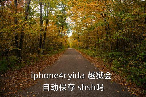 iphone4cyida 越獄會(huì) 自動(dòng)保存 shsh嗎