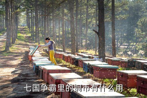 科技帝國 開局獲得曲率引擎，七國爭霸里的銅幣有什么用