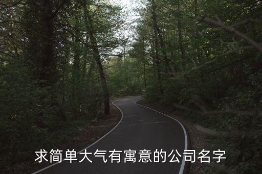 簡(jiǎn)單大氣的公司名稱，求簡(jiǎn)單大氣有寓意的公司名字