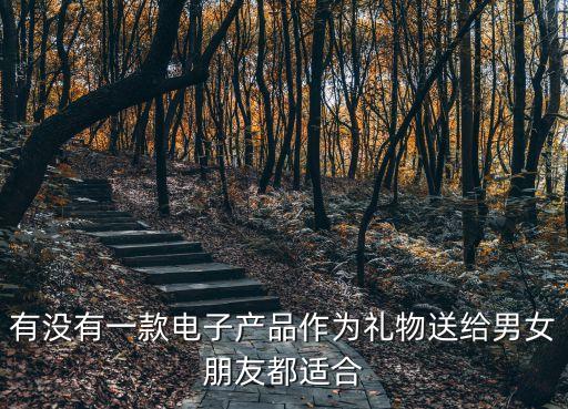 有沒(méi)有一款電子產(chǎn)品作為禮物送給男女朋友都適合