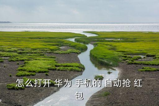 華為手機(jī) 自動(dòng)搶紅包,如何設(shè)置自動(dòng)rob紅包?看這里!