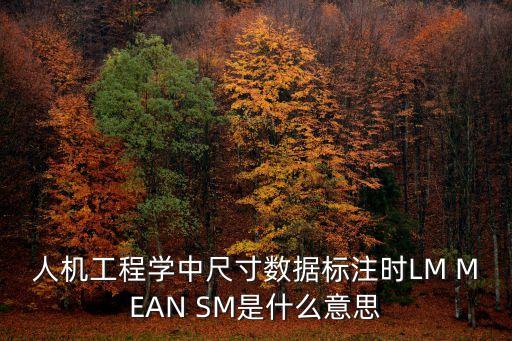 人工智能訓(xùn)練師數(shù)據(jù)標(biāo)注，人機(jī)工程學(xué)中尺寸數(shù)據(jù)標(biāo)注時(shí)LM MEAN SM是什么意思