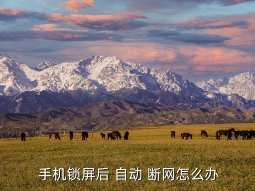 手機(jī)已休眠就自動(dòng)斷網(wǎng),手機(jī)鎖屏后自動(dòng)斷網(wǎng)怎么辦?