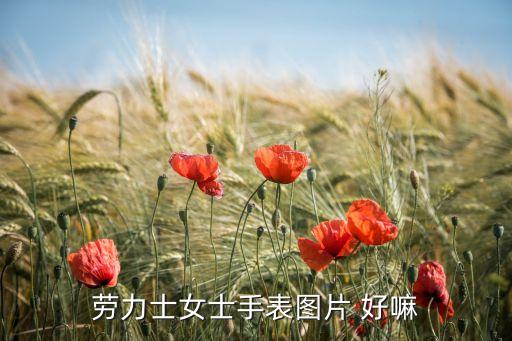 勞力士女士手表圖片 好嘛