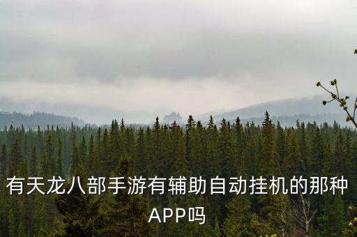 有天龍八部手游有輔助自動掛機的那種APP嗎