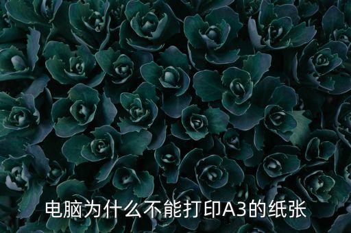 電腦為什么不能打印A3的紙張