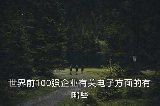 世界前100強企業(yè)有關(guān)電子方面的有哪些