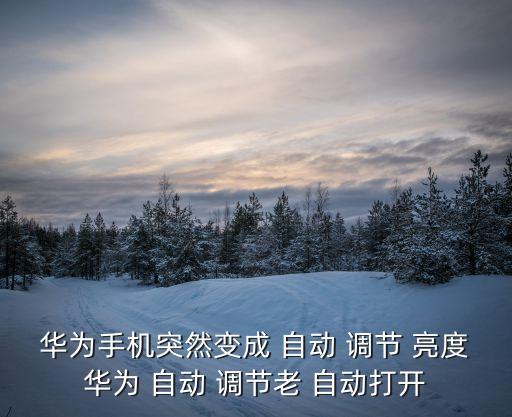 榮耀7自動亮度調(diào)節(jié),自動亮度調(diào)節(jié)-2/背光亮度功能可關閉