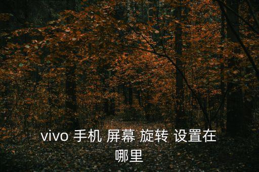 手機(jī)屏幕自動(dòng)旋轉(zhuǎn)在哪里設(shè)置,三方應(yīng)用如何設(shè)置手機(jī)旋轉(zhuǎn)屏幕?