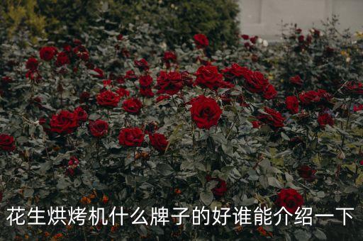 花生烘烤機(jī)什么牌子的好誰(shuí)能介紹一下