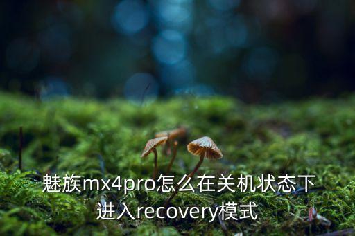  魅族mx4pro怎么在關(guān)機(jī)狀態(tài)下進(jìn)入recovery模式
