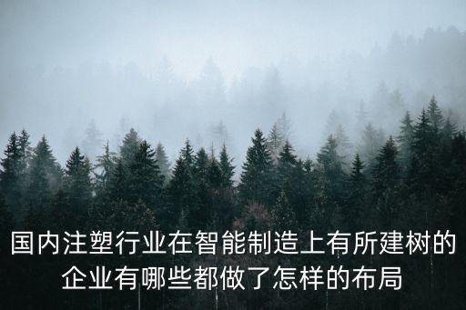 國內(nèi)注塑行業(yè)在智能制造上有所建樹的企業(yè)有哪些都做了怎樣的布局