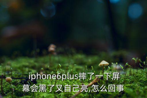 iphone6 plus自動亮屏,怎么鎖定和自動?
