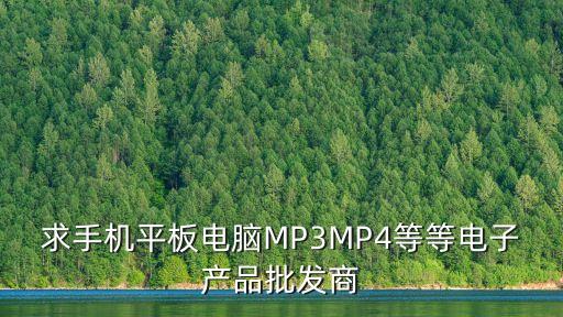 求手機(jī)平板電腦MP3MP4等等電子產(chǎn)品批發(fā)商