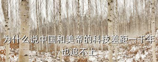 為什么說(shuō)中國(guó)和美帝的科技差距一千年也追不上