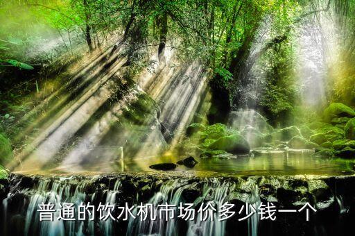 普通的飲水機(jī)市場(chǎng)價(jià)多少錢一個(gè)