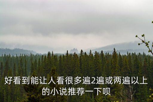 好看到能讓人看很多遍2遍或兩遍以上的小說推薦一下唄