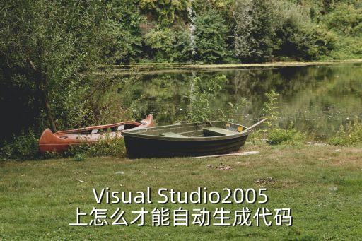 Visual Studio2005上怎么才能自動(dòng)生成代碼
